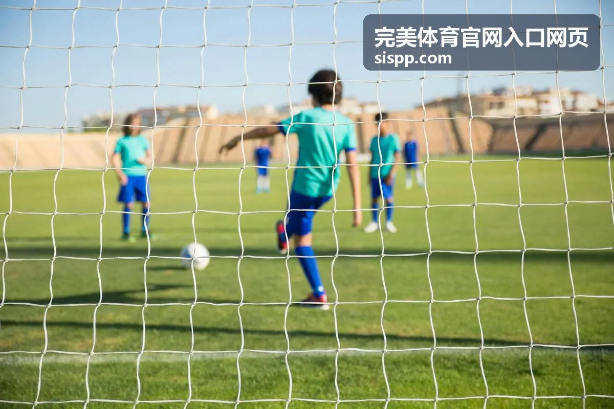 完美体育官网入口网页入口通道指引缩略图