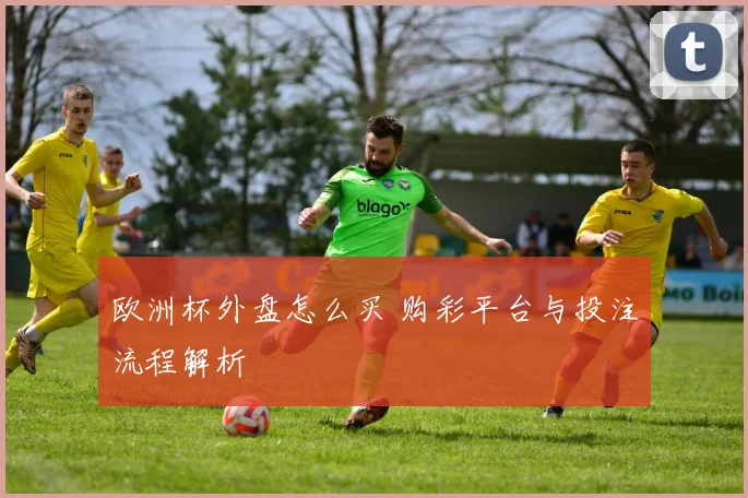 欧洲杯外盘怎么买 购彩平台与投注流程解析